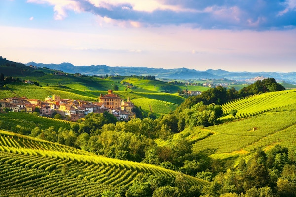 Langhe vingårdspanorama, Barolo by, Unesco-plats, Piemonte, norra Italien Europa.