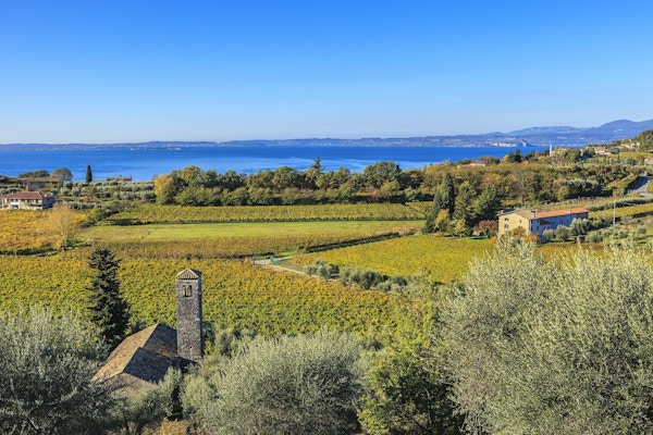 Veronas bördiga kullar gränsar till Gardasjön och är hemmet för Bardolino -vingårdarna som producerar smakfulla viner med samma namn, berömda över hela världen och firas mycket ofta i lokala sagrar. Gardasjön ligger i norra Italien och är den största italienska sjön och ett stort turistmål.
