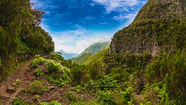 Vackert landskap på ön Madeira med stig nära "Levada" till vattenfallet