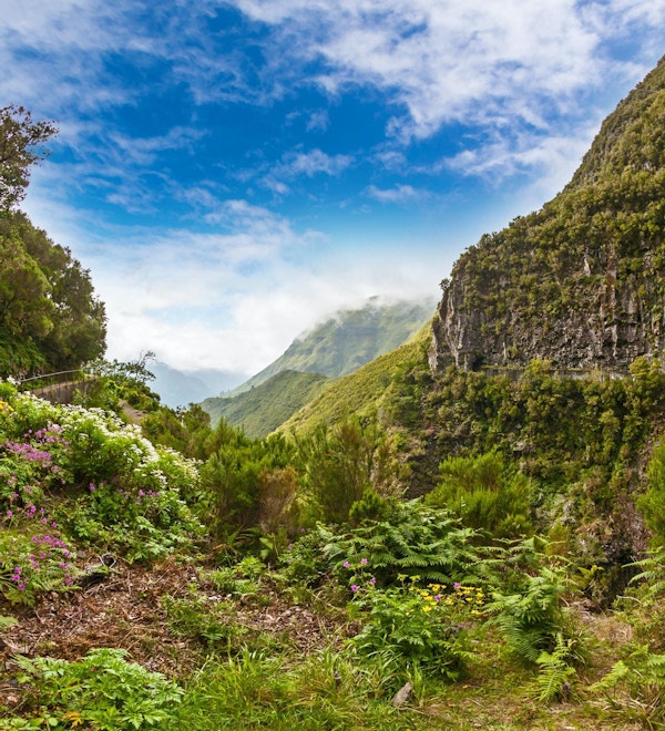 Vackert landskap på ön Madeira med stig nära "Levada" till vattenfallet