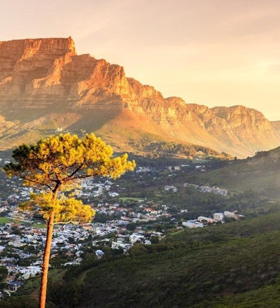 Panoramautsikt över Kapstaden, Table Mountain och Lions Head i Sydafrika