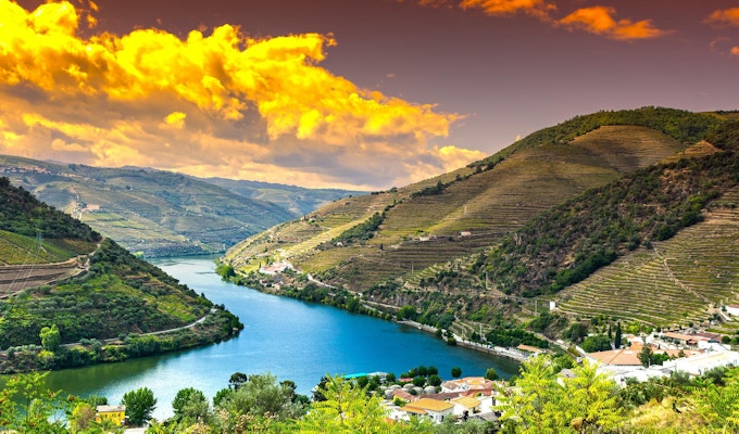 Res till floden Douro-regionen i Portugal bland vingårdar och olivlundar. Vinodling i de portugisiska byarna vid soluppgång