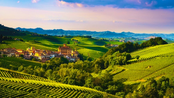 Langhe vingårdspanorama, Barolo by, Unesco-plats, Piemonte, norra Italien Europa.