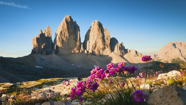 "Tre Cime di Lavaredo och vilda blommor (Dolomiterna, Italien) Fler bilder om Dolomiterna"