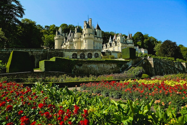 Blommor i förgrunden av ett slott i Loire