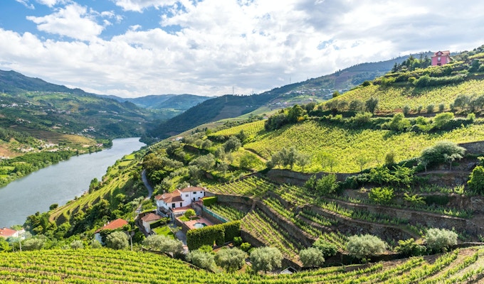 Vinodlingar och landskap i Douro-regionen i Portugal