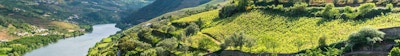 Vinodlingar och landskap i Douro-regionen i Portugal
