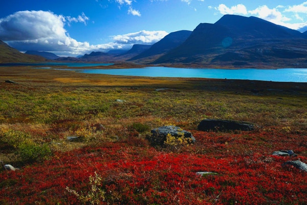 Röda och gula buskar prickar med livfulla färger i den arktiska dalen och sjöarna som kramar bergets bas, i svenska Lappland (nära Alesjaure-sjön).