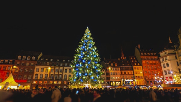 Stor julgran i huvudstaden för jul, Strasbourg stad, Alsace, Frankrike. Noel 2016