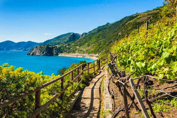 Stig i vingårdar, vacker utsikt över havet och bergen. Cinque Terre nationalpark, Liguria, Italien