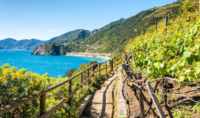 Stig i vingårdar, vacker utsikt över havet och bergen. Cinque Terre nationalpark, Liguria, Italien