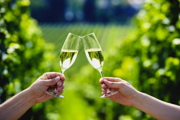 Två händer av exponeringsglas med mousserande vinbunkar med gröna vingårdar i bakgrunden.