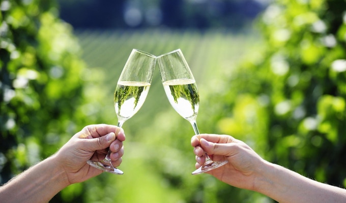 Två händer av exponeringsglas med mousserande vinbunkar med gröna vingårdar i bakgrunden.