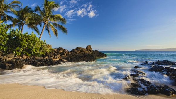 strand i makena vik med palmträd och vågor i södra maui, hawaii