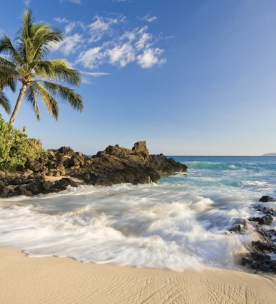 strand i makena vik med palmträd och vågor i södra maui, hawaii