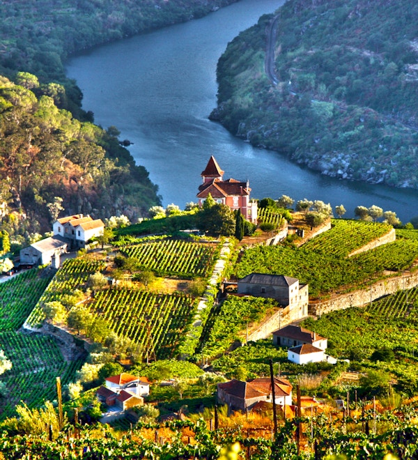 Landskap i Douro Valley, Portugal