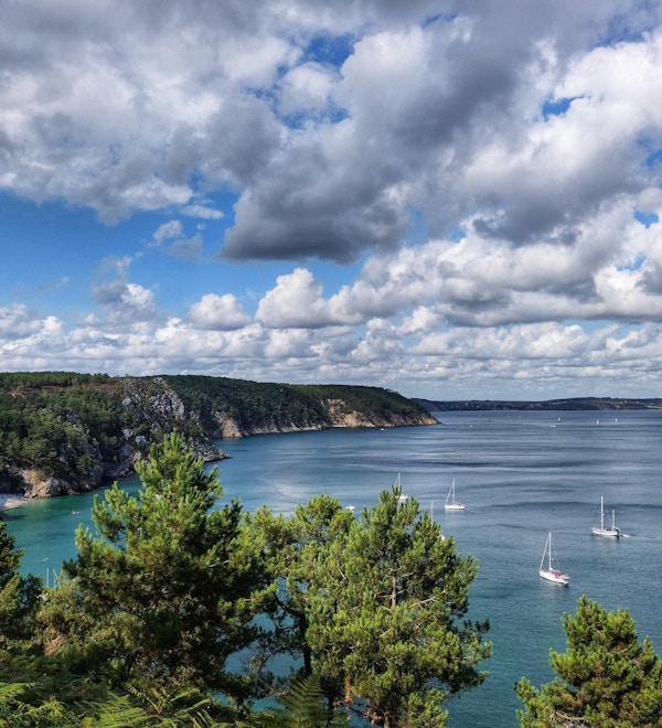 Grönskande kust i Bretagne, Frankrike