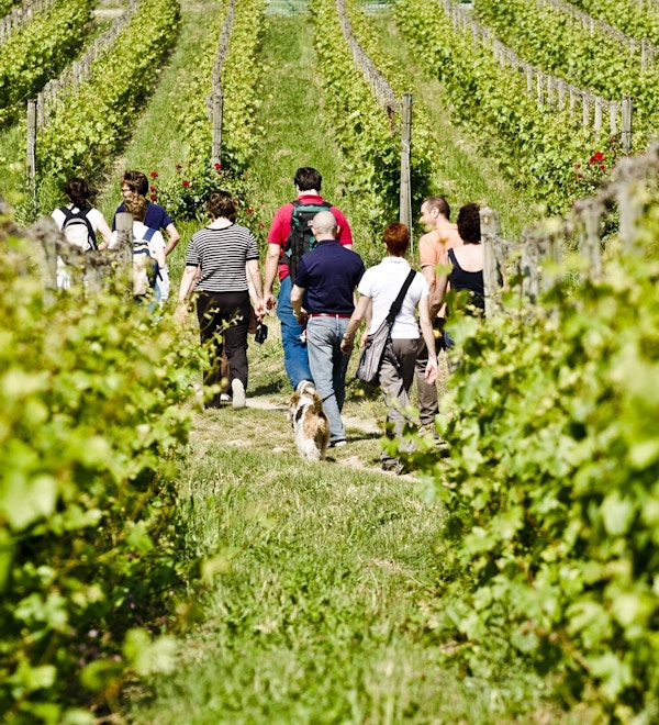 Wine trekking in franciacorta ph f