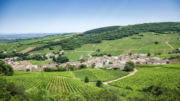 Gammal by Solutre-Pouilly med vingårdar, Bourgogne, Frankrike
