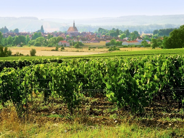 chablis village and vineyards burgundy france