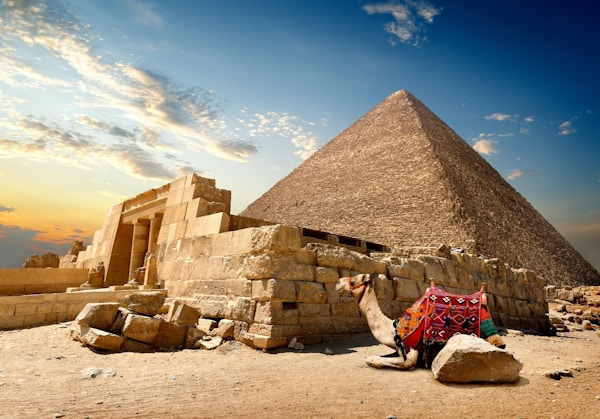 Kamel vilar nära ruinerna av ingången till pyramiden