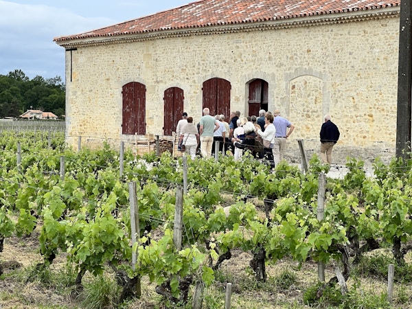 Grupp gäster vid vinodling i Médoc