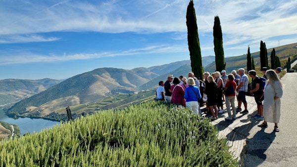 En grupp gäster ser ut över böljande vinlandskap