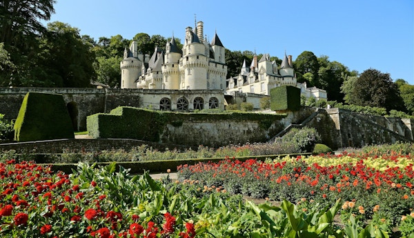 Blommor i förgrunden av ett slott i Loire