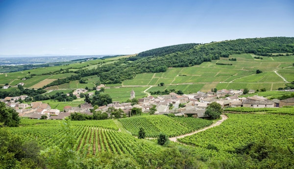 Den gamla staden Solutre-Pouilly med vingårdar i Bourgogne, Frankrike