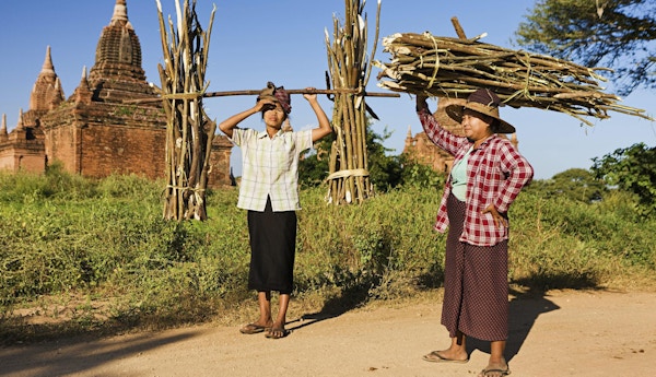 Porträtt av burmesiska kvinnor som bär trädstammar på huvudet, Bagan, Myanmar.