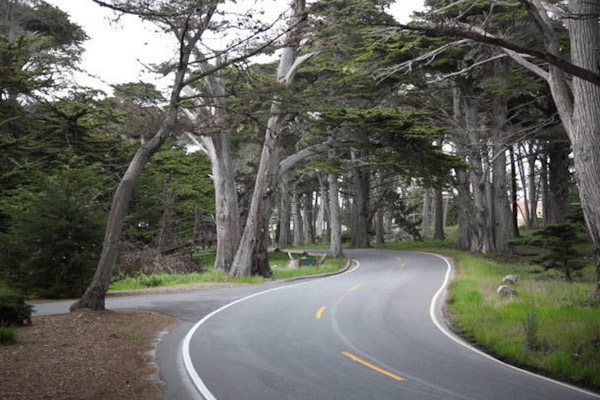Sikt av den natursköna vägen 17 Mile Drive som passerar genom cypresser längs Pacific Grove och Pebble Beach, Kalifornien