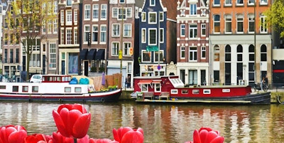Vackert landskap med tulpaner och hus i Amsterdam, Holland (gratulationskort - koncept)