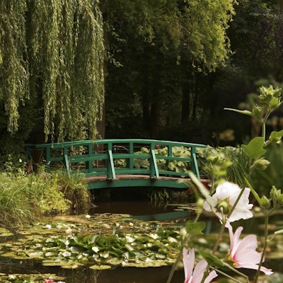 Trädgården för den berömda målaren Claude Monet, där han målade sina näckrosor