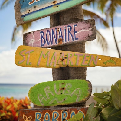 bitar av drivved med handmålade namn på Karibiska öar fäst vid ett palmträd i St.Croix, Amerikanska Jungfruöarna