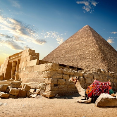 Kamel vilar nära ruinerna av ingången till pyramiden