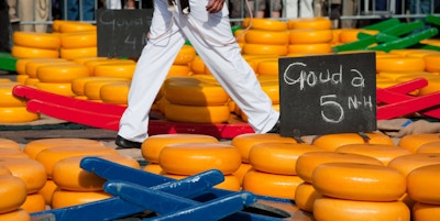 Många hel holländsk ost på marknaden i Alkmaar