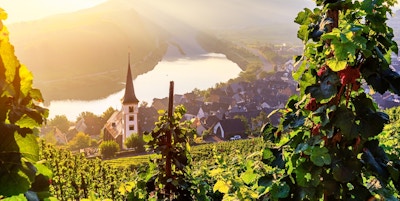 Översiktsbild av vinrankor, kyrktorn, by och flod.