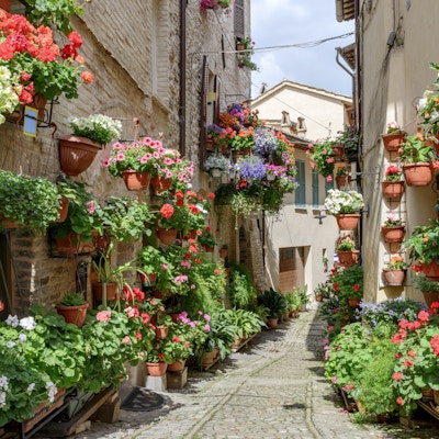 Sidogata med blommor i staden Spello i Umbria, Italien