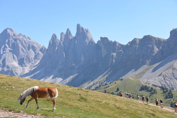 Val gardena vandring 8