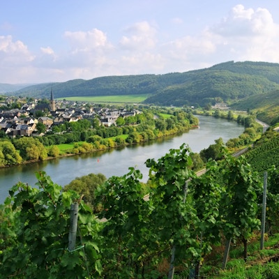 Moselle river