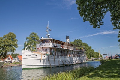 Ms juno vid berg
