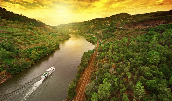 Vineyards in the Valley of the River Douro, Portugal