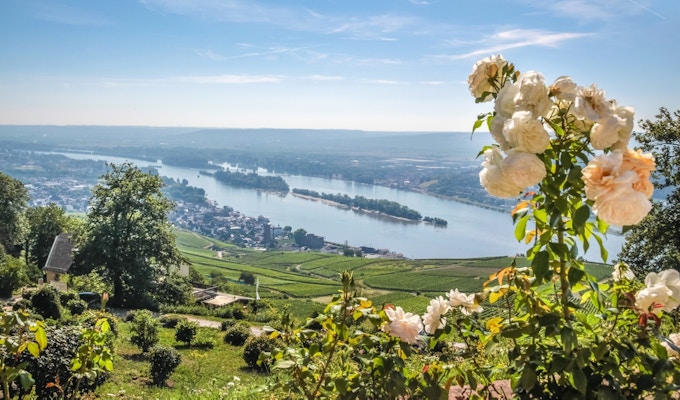 Gettyimages rudesheim