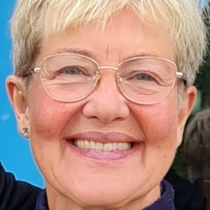 Gun lindman 2