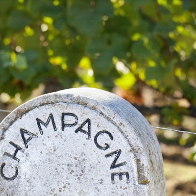 Vingårdar som tillhör champagneproducenter i hela Champagne-regionen i Frankrike identifieras med stenmarkörer enligt producent och odlare av de tre champagnedruvorna