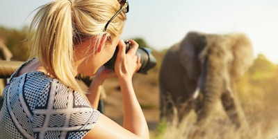 Beskuren bild av en kvinnlig turist som tar fotografier av elefanter på safarihttp: //195.154.178.81/DATA/i_collage/pi/shoots/806259.jpg