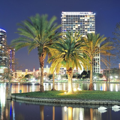 Orlando centrum horisont panorama över sjön Eola på natten med urbana skyskrapor, tropiska palmer och klar himmel.