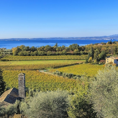 Veronas bördiga kullar gränsar till Gardasjön och är hemmet för Bardolino -vingårdarna som producerar smakfulla viner med samma namn, berömda över hela världen och firas mycket ofta i lokala sagrar. Gardasjön ligger i norra Italien och är den största italienska sjön och ett stort turistmål.