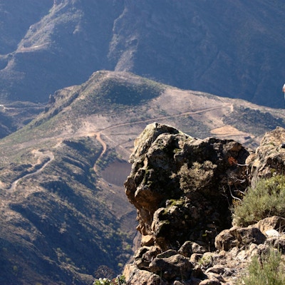 Vandrare uppe på en klippa med fantastisk utsikt över dalen, Gran Canaria, Spanien