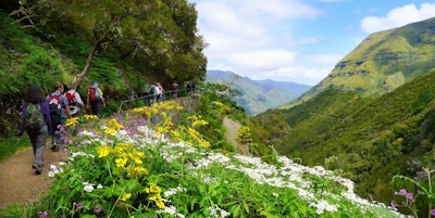 Vattenvägarna eller "levadas" på Madeira är kända för sin skönhet. Vandringslederna går genom vacker natur och rikliga blomdalar.